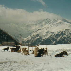 Snowboarden am Grossglockner 2002